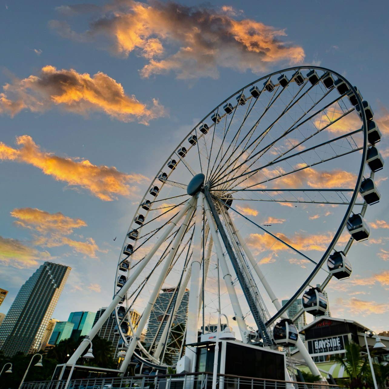 Skyviews Miami Observation Wheel - Photo 1 of 9